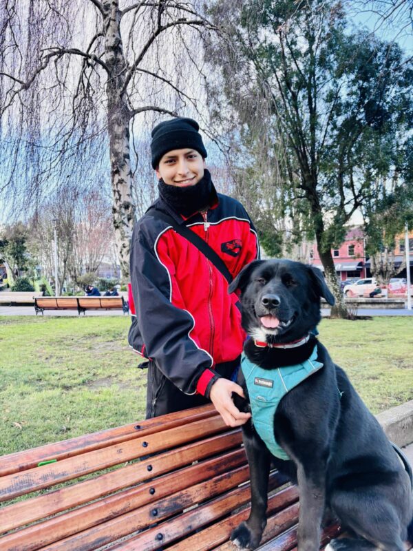 Paseos canino